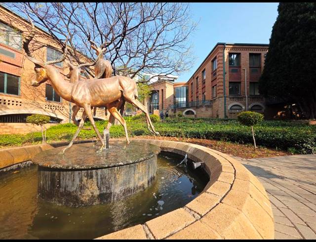 BUSINESS PROPERTY TO RENT IN MENLYN